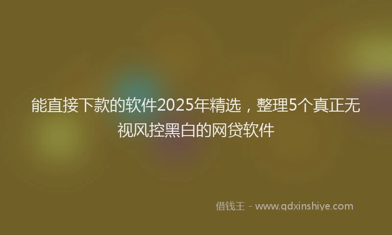 能直接下款的软件2025年精选，整理5个真正无视风控黑白的网贷软件