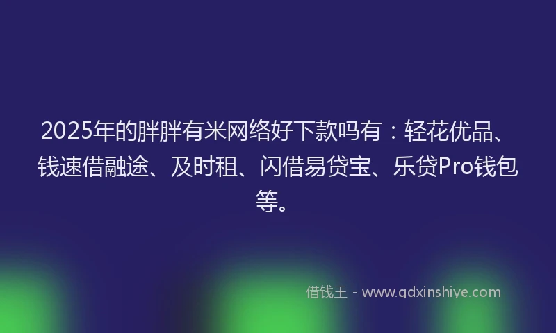 2025年的胖胖有米网络好下款吗有：轻花优品、钱速借融途、及时租、闪借易贷宝、乐贷Pro钱包等。