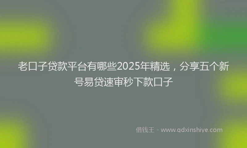 老口子贷款平台有哪些2025年精选，分享五个新号易贷速审秒下款口子