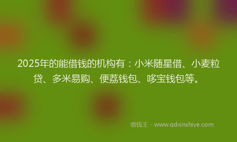 2025年的能借钱的机构有：小米随星借、小麦粒贷、多米易购、便荔钱包、哆宝钱包等。