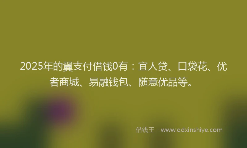 2025年的翼支付借钱0有：宜人贷、口袋花、优者商城、易融钱包、随意优品等。