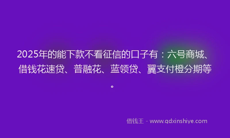 2025年的能下款不看征信的口子有：六号商城、借钱花速贷、普融花、蓝领贷、翼支付橙分期等。