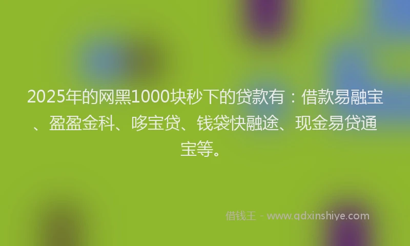 2025年的网黑1000块秒下的贷款有：借款易融宝、盈盈金科、哆宝贷、钱袋快融途、现金易贷通宝等。