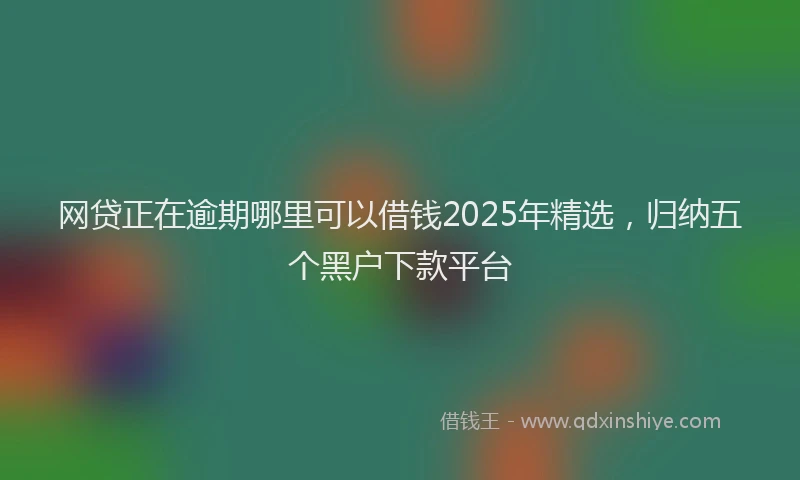 网贷正在逾期哪里可以借钱2025年精选，归纳五个黑户下款平台
