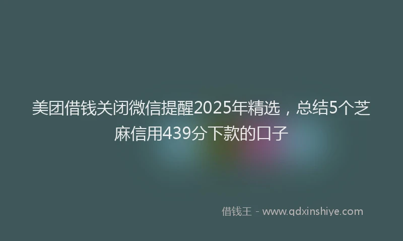 美团借钱关闭微信提醒2025年精选，总结5个芝麻信用439分下款的口子