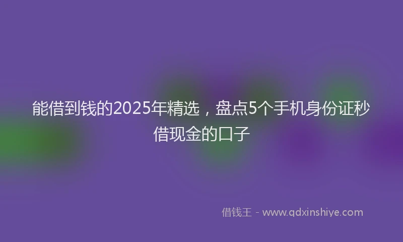 能借到钱的2025年精选，盘点5个手机身份证秒借现金的口子