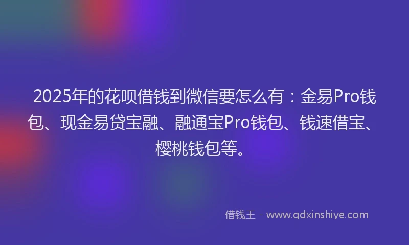 2025年的花呗借钱到微信要怎么有：金易Pro钱包、现金易贷宝融、融通宝Pro钱包、钱速借宝、樱桃钱包等。