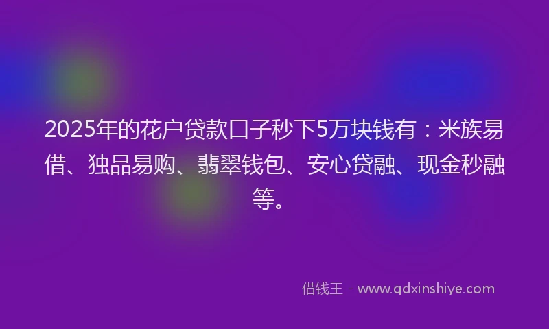 2025年的花户贷款口子秒下5万块钱有：米族易借、独品易购、翡翠钱包、安心贷融、现金秒融等。