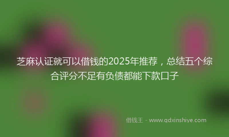 芝麻认证就可以借钱的2025年推荐，总结五个综合评分不足有负债都能下款口子