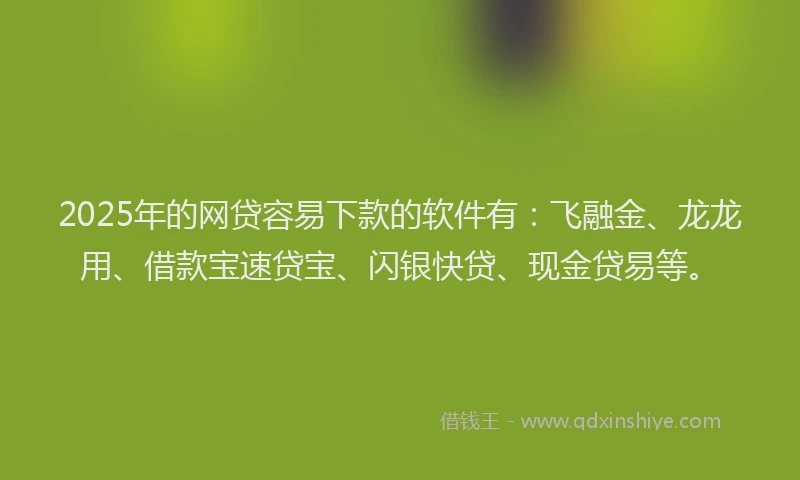 2025年的网贷容易下款的软件有：飞融金、龙龙用、借款宝速贷宝、闪银快贷、现金贷易等。