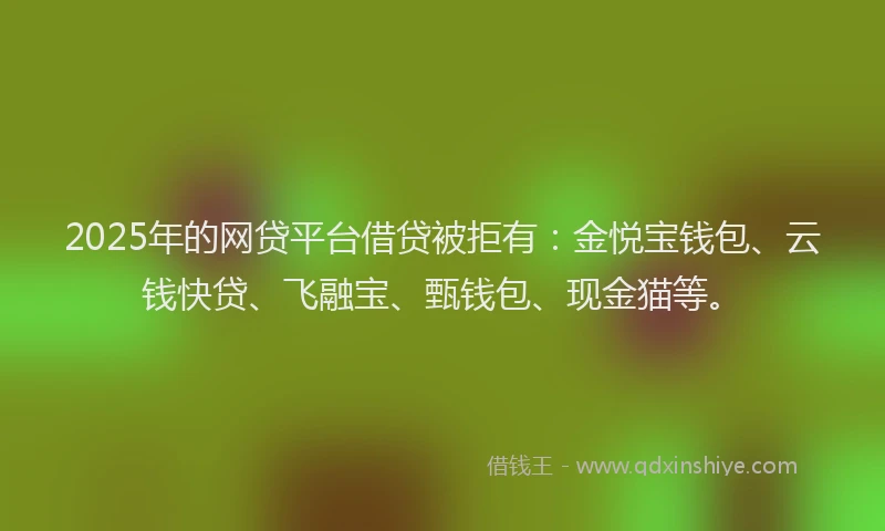2025年的网贷平台借贷被拒有：金悦宝钱包、云钱快贷、飞融宝、甄钱包、现金猫等。