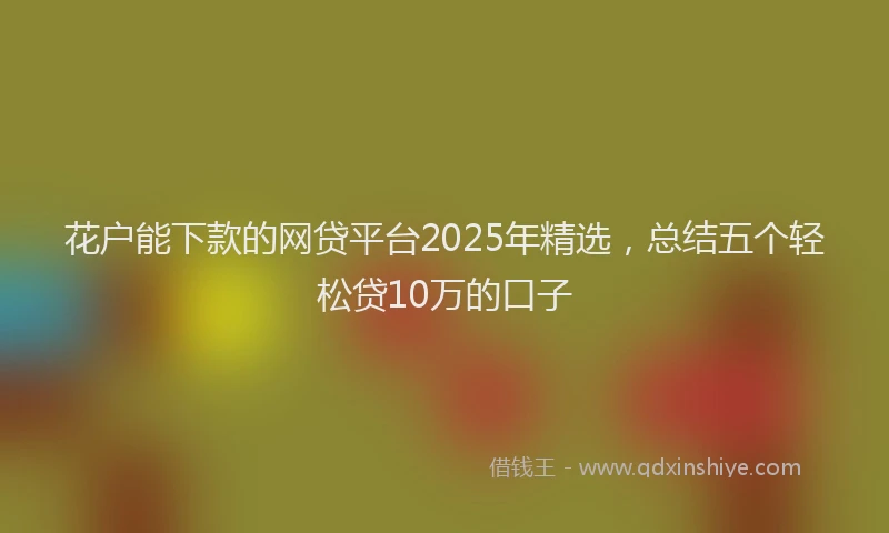 花户能下款的网贷平台2025年精选，总结五个轻松贷10万的口子