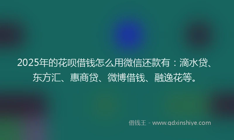2025年的花呗借钱怎么用微信还款有：滴水贷、东方汇、惠商贷、微博借钱、融逸花等。