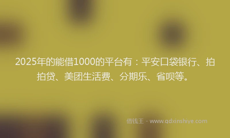 2025年的能借1000的平台有：平安口袋银行、拍拍贷、美团生活费、分期乐、省呗等。