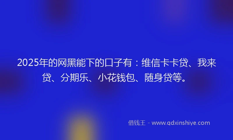 2025年的网黑能下的口子有：维信卡卡贷、我来贷、分期乐、小花钱包、随身贷等。