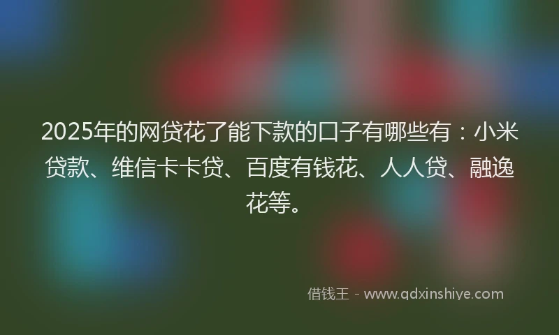 2025年的网贷花了能下款的口子有哪些有：小米贷款、维信卡卡贷、百度有钱花、人人贷、融逸花等。