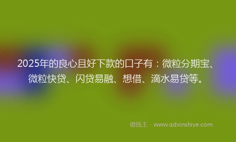 2025年的良心且好下款的口子有：微粒分期宝、微粒快贷、闪贷易融、想借、滴水易贷等。