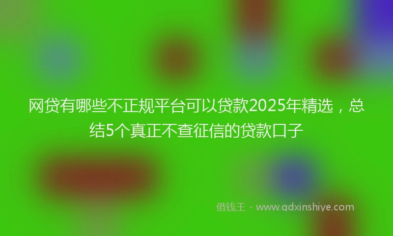 网贷有哪些不正规平台可以贷款2025年精选，总结5个真正不查征信的贷款口子