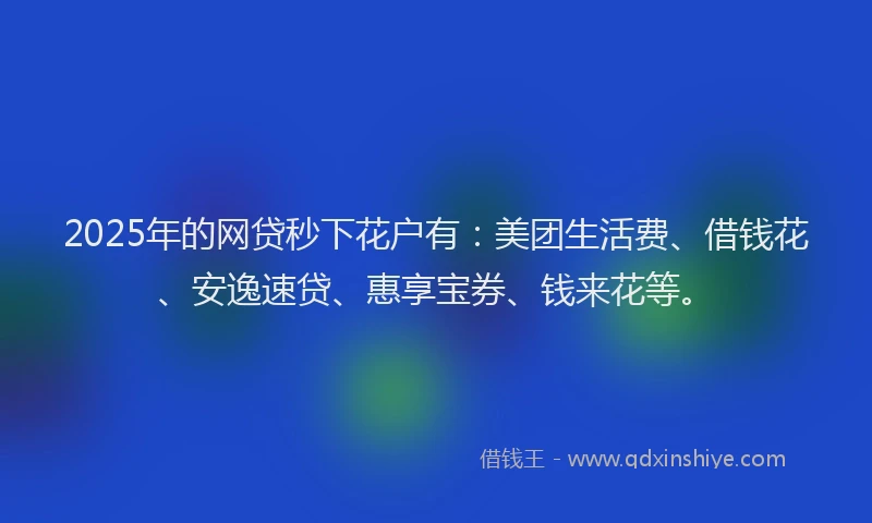2025年的网贷秒下花户有：美团生活费、借钱花、安逸速贷、惠享宝券、钱来花等。