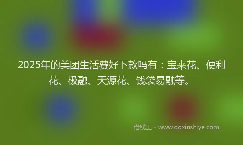2025年的美团生活费好下款吗有：宝来花、便利花、极融、天源花、钱袋易融等。
