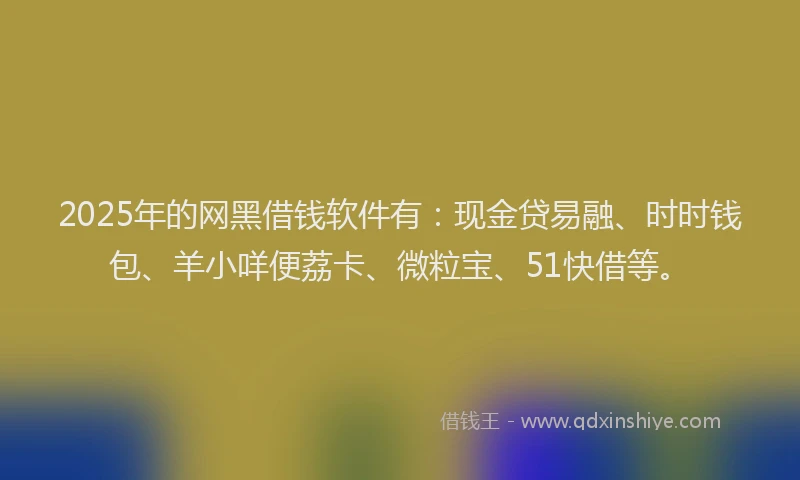 2025年的网黑借钱软件有：现金贷易融、时时钱包、羊小咩便荔卡、微粒宝、51快借等。