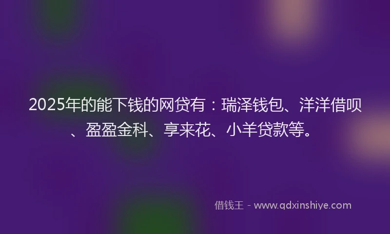 2025年的能下钱的网贷有：瑞泽钱包、洋洋借呗、盈盈金科、享来花、小羊贷款等。