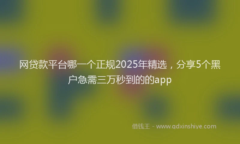 网贷款平台哪一个正规2025年精选，分享5个黑户急需三万秒到的的app