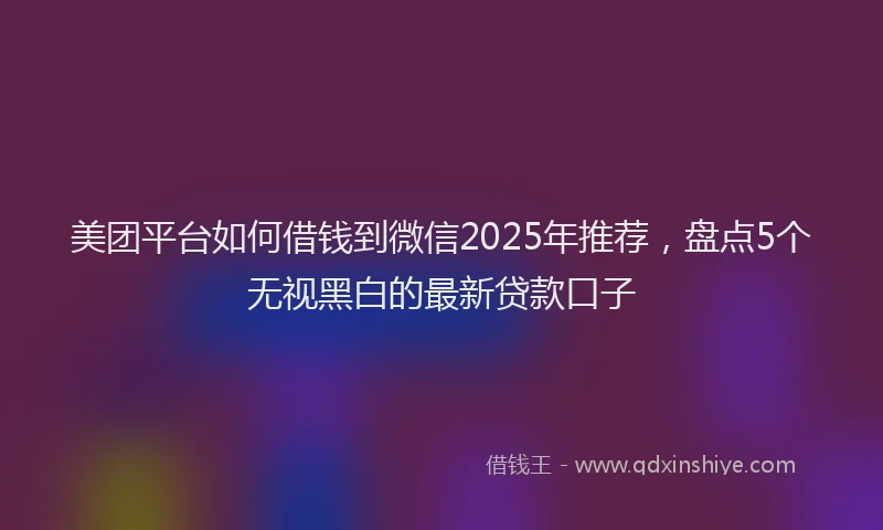 美团平台如何借钱到微信2025年推荐，盘点5个无视黑白的最新贷款口子