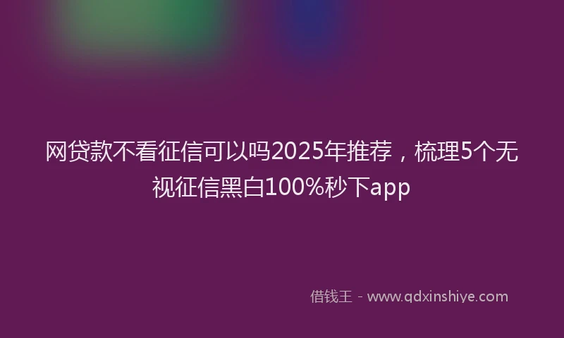 网贷款不看征信可以吗2025年推荐，梳理5个无视征信黑白100%秒下app