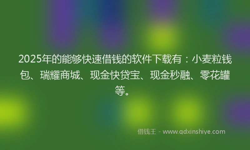 2025年的能够快速借钱的软件下载有：小麦粒钱包、瑞耀商城、现金快贷宝、现金秒融、零花罐等。