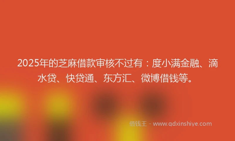 2025年的芝麻借款审核不过有：度小满金融、滴水贷、快贷通、东方汇、微博借钱等。