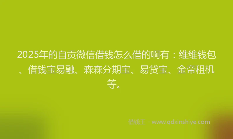 2025年的自贡微信借钱怎么借的啊有：维维钱包、借钱宝易融、森森分期宝、易贷宝、金帝租机等。