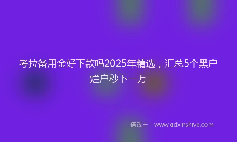 考拉备用金好下款吗2025年精选，汇总5个黑户烂户秒下一万