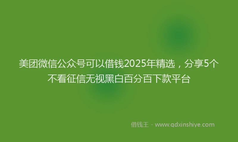 美团微信公众号可以借钱2025年精选，分享5个不看征信无视黑白百分百下款平台
