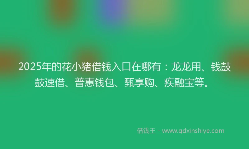 2025年的花小猪借钱入口在哪有：龙龙用、钱鼓鼓速借、普惠钱包、甄享购、疾融宝等。