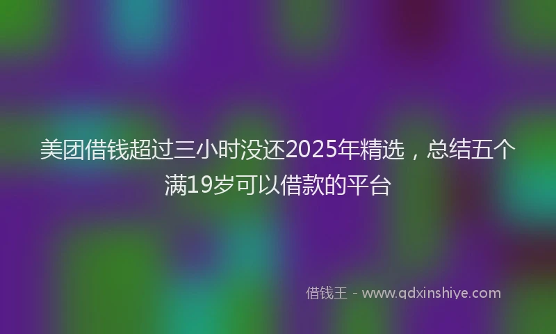 美团借钱超过三小时没还2025年精选，总结五个满19岁可以借款的平台