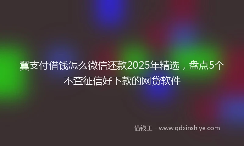 翼支付借钱怎么微信还款2025年精选，盘点5个不查征信好下款的网贷软件