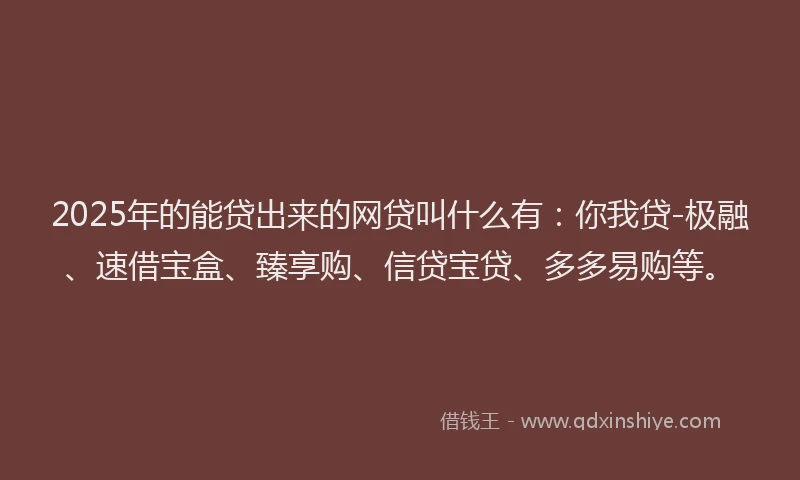 2025年的能贷出来的网贷叫什么有：你我贷-极融、速借宝盒、臻享购、信贷宝贷、多多易购等。