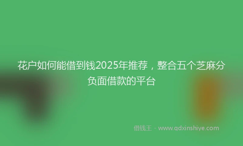 花户如何能借到钱2025年推荐，整合五个芝麻分负面借款的平台
