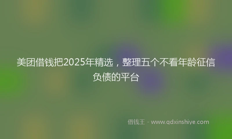 美团借钱把2025年精选，整理五个不看年龄征信负债的平台