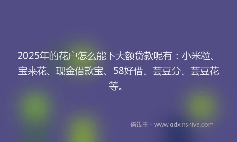 2025年的花户怎么能下大额贷款呢有：小米粒、宝来花、现金借款宝、58好借、芸豆分、芸豆花等。
