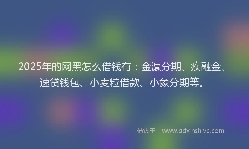 2025年的网黑怎么借钱有：金瀛分期、疾融金、速贷钱包、小麦粒借款、小象分期等。