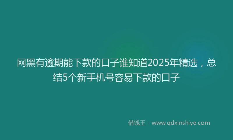 网黑有逾期能下款的口子谁知道2025年精选，总结5个新手机号容易下款的口子