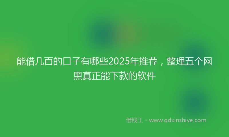 能借几百的口子有哪些2025年推荐，整理五个网黑真正能下款的软件
