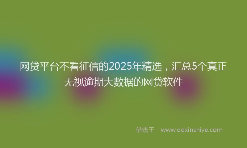 网贷平台不看征信的2025年精选，汇总5个真正无视逾期大数据的网贷软件