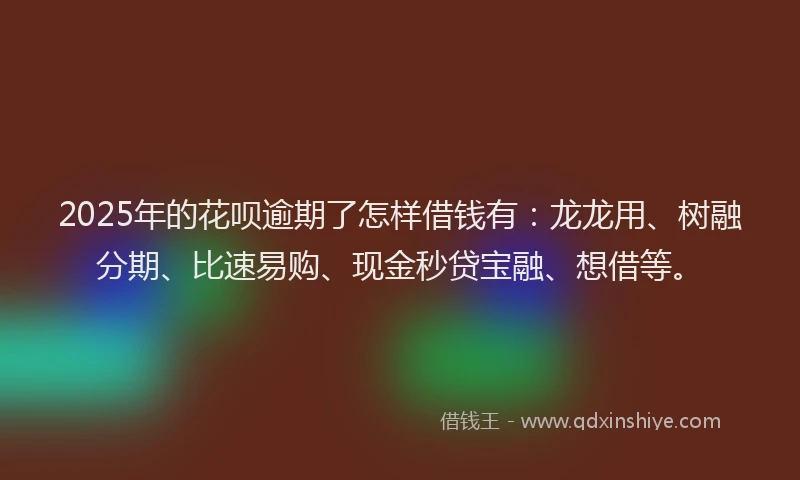 2025年的花呗逾期了怎样借钱有：龙龙用、树融分期、比速易购、现金秒贷宝融、想借等。