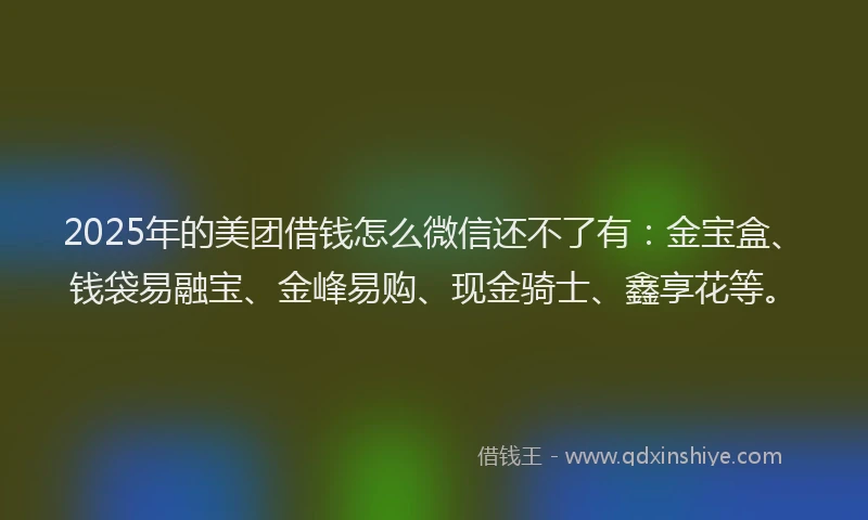 2025年的美团借钱怎么微信还不了有：金宝盒、钱袋易融宝、金峰易购、现金骑士、鑫享花等。