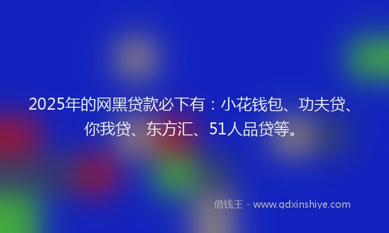 2025年的网黑贷款必下有：小花钱包、功夫贷、你我贷、东方汇、51人品贷等。