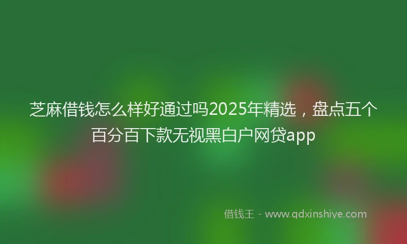 芝麻借钱怎么样好通过吗2025年精选，盘点五个百分百下款无视黑白户网贷app