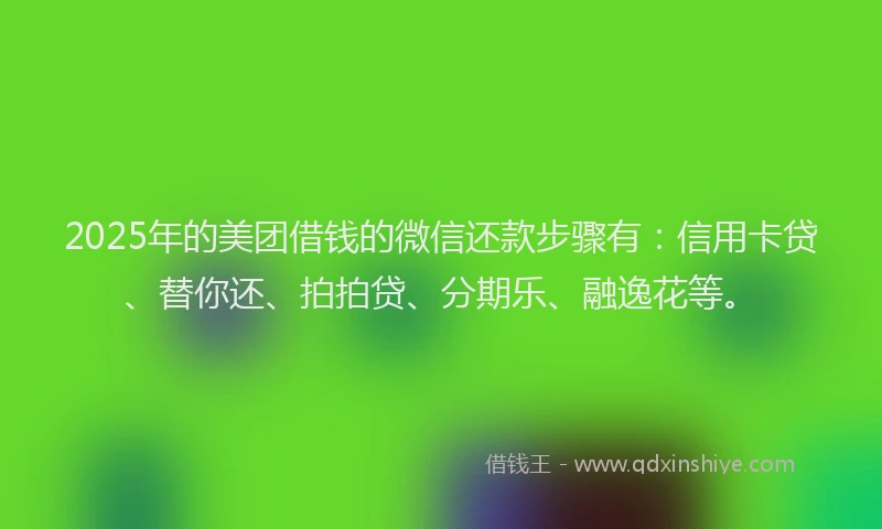 2025年的美团借钱的微信还款步骤有：信用卡贷、替你还、拍拍贷、分期乐、融逸花等。